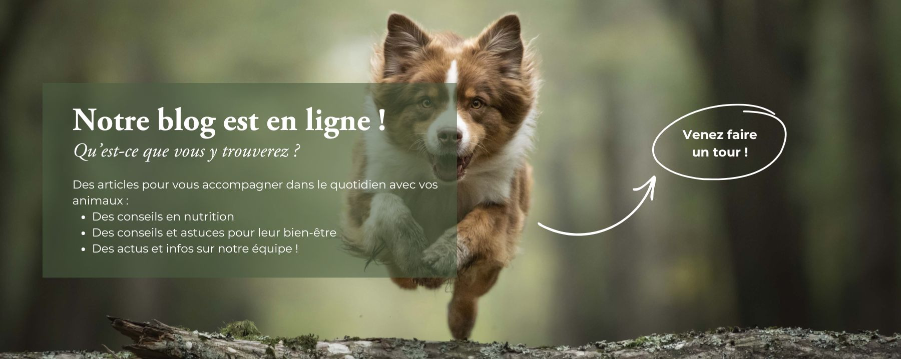 BLOG CONSEIL NOURRIR COMME LA NATURE