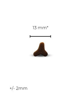 HELP GASTRO INTESTINAL CAT