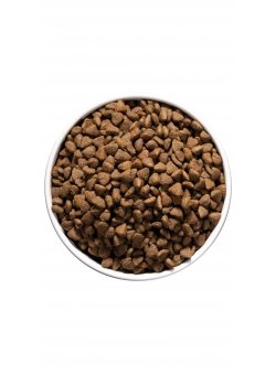 CARE HYPOALLERGENIC (CAT)