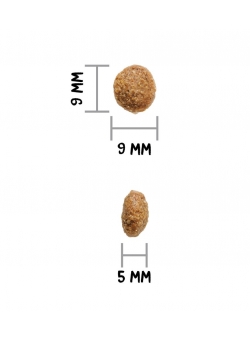 AUTHOR FRESH LAMB & PORK (DOG)