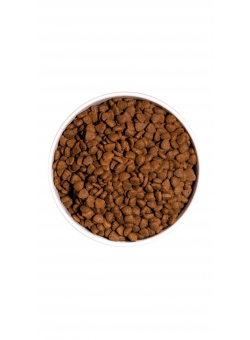 JUST GRAIN FREE ADULT CHICKEN CAT