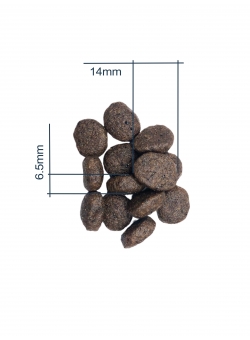 SENSITIVE LAMB & FISH