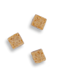 PEAU & PELAGE 100% saumon (CAT)