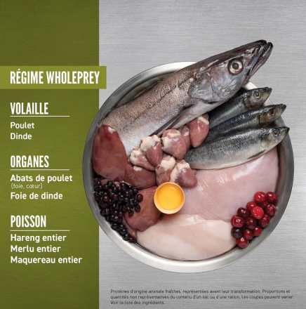 Étiquette du sac SENIOR